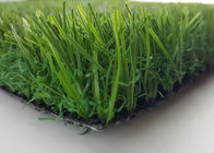 UV Resistant PE Plastic Grass With Soft Formula / Backyard Putting Green