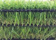 UV Resistance Non - stain Garden Artificial Grass 20 mm – 40 mm Yarn Height