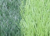 12000 Dtex Natural Looking Outdoor Artificial Turf For Football Field Fire Resistant