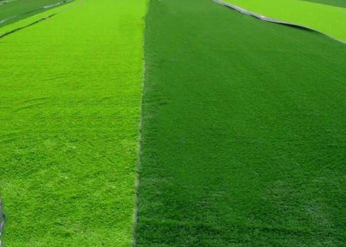 Reinforced Playability Anti - slip Synthetic Grass For Futsal Environment Friendly